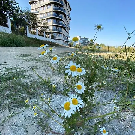 Somnila, Mamaia Nord Apartment Navodari
