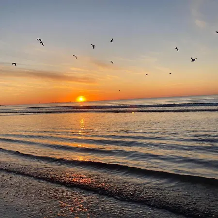 Somnila, Mamaia Nord Appartement